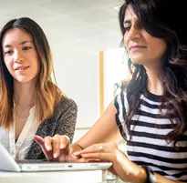 wordpress-development-online-promotional-course